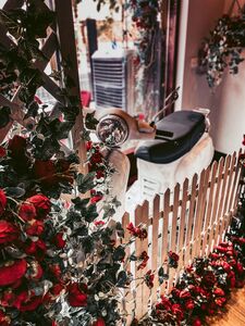 image00007